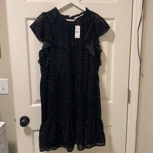 LOFT Leopard Print Velvet Swing Dress Black